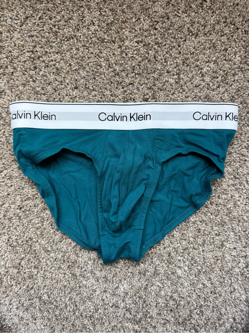 Calvin Klein Teal & White Logo Briefs